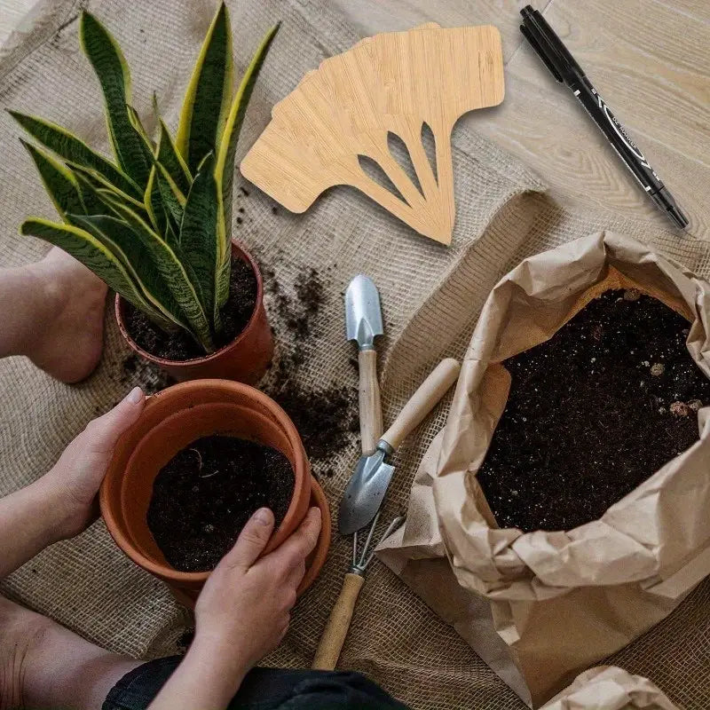 Pflanzenschilder aus Holz für Garten und Balkon – Wiederbeschreibbare Etiketten für Kräuter und Pflanzen
