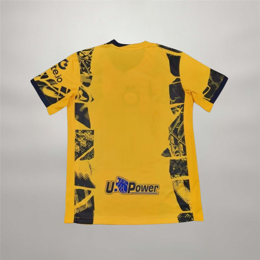 Inter Ausweichtrikot 2024/25